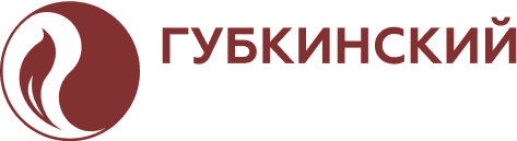 Губкинский университет